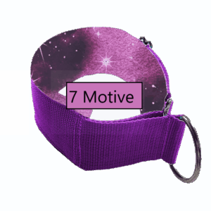 Sky-Motive