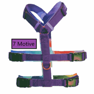 Sky-Motive