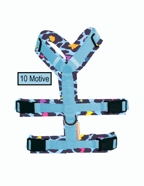 Animal-Motive