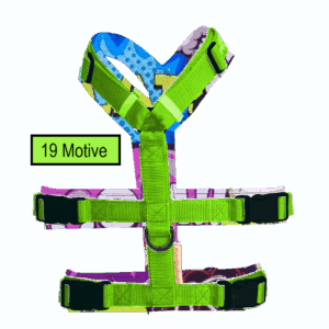 Formen-Motive