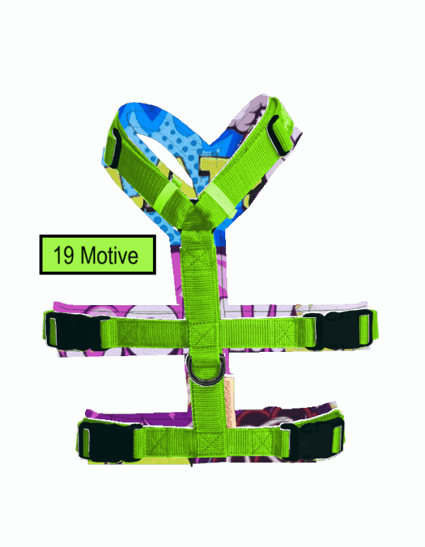 Formen-Motive
