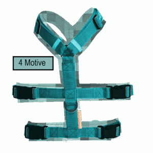 Pixel